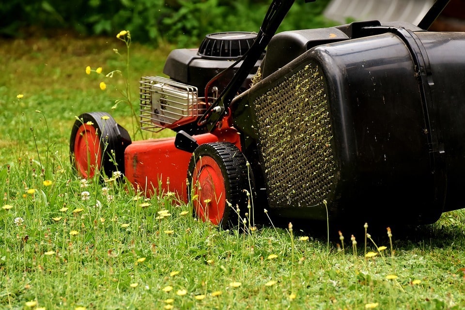 7 astuces surprenantes pour un jardin en harmonie avec la nature